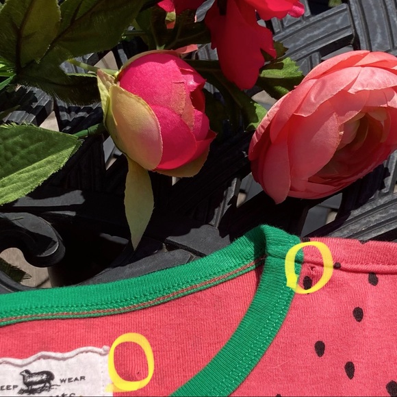 JCrew pink seeded green ringer watermelon t shirt NWOT Small - Picture 6 of 7